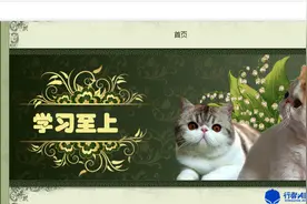 SQL注入详解图片