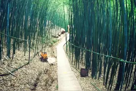 你知道白鹿原的来历吗？（中）图片