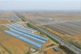 今年青岛这10个镇街将建乡村振兴示范区，看看有你家乡吗？图片