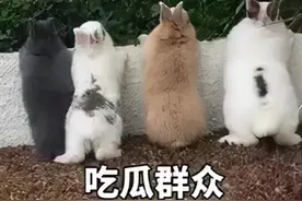 汪小菲大S离婚上热搜，我只关心她靠“吃”就能瘦下来图片