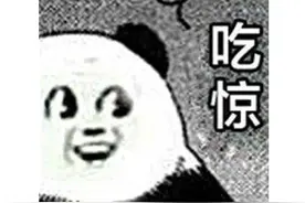 有钱任性？微软烧了整整40年钱模拟出整个地球，只为让玩家看风景图片