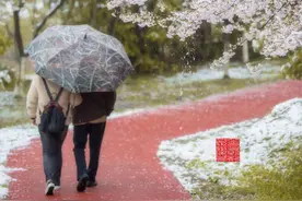 熬过明天的雨，剩下的都是晴天！气温将稳步回升到20℃图片