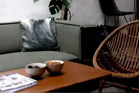 6种可以养在室内的爬藤植物，不开花也美，在花盆里也能攀爬生长图片