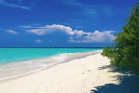 东南亚打工现在去不得！！！图片
