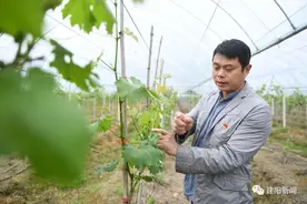 日本经验助力建阳农民探索“圆梦村”之路图片