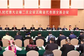 郭声琨参加云南代表团审议图片