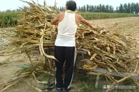 乡村纪实：父亲这一辈子，直到去世，也没能过一次生日图片