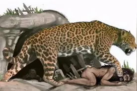 140万年前，恐猫大量捕食人类祖先，后来为什么消失了？图片