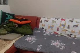 寒流来袭，狗狗怕冷躲起来进棉被堆里面，让主人以为狗丢了被吓到图片