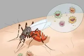 网警小苏说 | 今天是世界蚊子日！真的，没开玩笑图片
