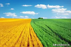 农业您知多少图片