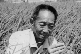 今日送别袁老｜他的一生浸在稻田里，功勋写在大地上图片