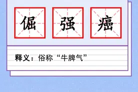 金牛座又名钻牛角尖界的扛把子，星座圈头号倔驴图片