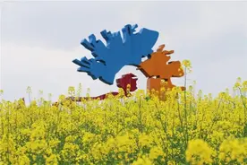 春花都开好了，即日起至5月1日，杭州西溪湿地免费开放图片