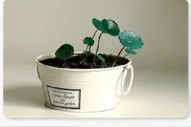 在每一次失败里都藏着机密机遇图片