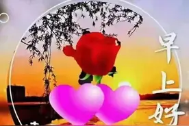 没完没了的“早上好”图片