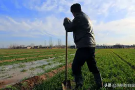 农村的父母有67万存款，73岁的他们过得怎样？看后简直不敢相信图片