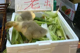 奉上几张台湾街头照片图片