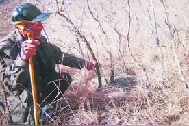 无名烈士长眠西山73年，一家三代为其守墓，身份揭晓时女儿已白头图片
