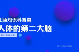 肛肠知识科普系列动画：肠道——人体的第二大脑图片
