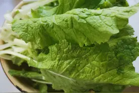 小白菜粉条馅饼，没有用油，烙糊了图片