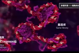 人体放大10000万倍图片