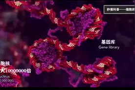 人体放大10000万倍图片