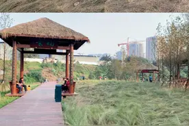 秋日限定美景 | 一秒误入宫崎骏的童话世界，主城半小时即可抵拢图片
