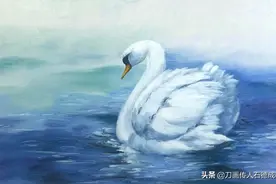 绘画教程86—可爱白天鹅步骤图，赶紧收藏图片