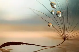 人生十悟，你悟透了多少？图片
