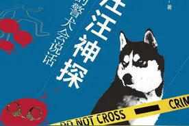 汪汪神探：查明真相与抚慰心灵的好伙伴图片
