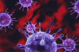 科学家已有能力在实验室中合成病毒，人类要做造物主？图片