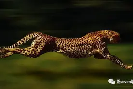 戊戌政变后，面对清廷天罗地网，康有为和梁启超如何逃出升天图片