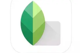 手机修图APP Snapseed软件的两大客户端下载方法图片