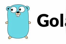 Golang中的双引号、单引号以及反引号有什么区别？怎么用？图片