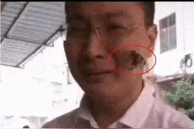 母亲因病去世，头七飞来一只蝴蝶落儿子脸上，久久不愿离去图片
