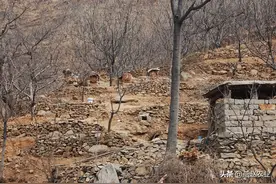 太行山深山里，他们靠百年传统方式养蜂，收入虽低但却开心图片