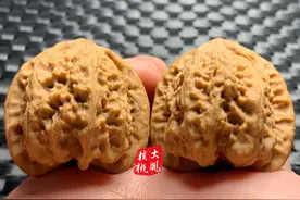 文玩核桃正宗马蹄狮子头，大底略带菊花底座图片