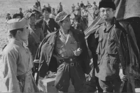 1950年，43师击毙匪首龙三，师长急电陈赓：司令员，我们闯祸了图片