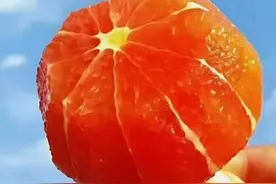 常忆点滴美好过往，携手奔向幸福未来图片