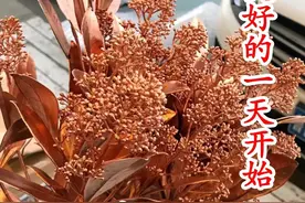 你行的时候，怎么都行，你不行的时候，什么都不行，早安一定要行图片
