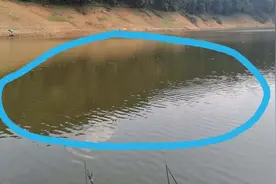 实战分享，五月二号长潭水库失败的作钓经历，分析“空军”的原因图片