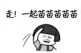 全国各地疫苗标语，笑疯了图片
