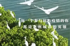 我们的距离图片