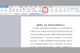 文档技巧—在WPS和Word文档中如何设置页码图片