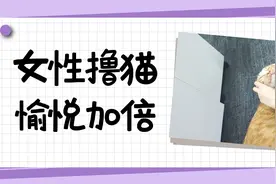 同样是撸猫，为什么女性会感觉更愉悦？图片