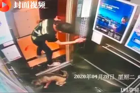 男子打碎哈士奇头骨被行拘14天！图片