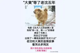 请别将我抛弃图片