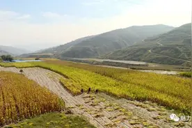你好！巉口镇的老兵图片