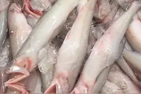 这样油炸豆腐鱼才好吃 色香味齐全图片